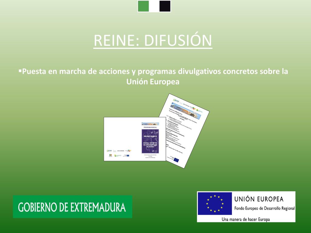 REINE: DIFUSIÓN Puesta en marcha de acciones y programas divulgativos concretos sobre la Unión Europea.