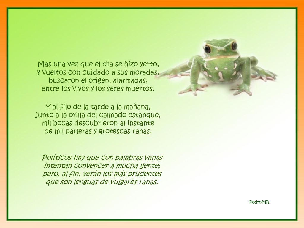 Mas una vez que el día se hizo yerto, y vueltos con cuidado a sus moradas, buscaron el origen, alarmadas, entre los vivos y los seres muertos.
