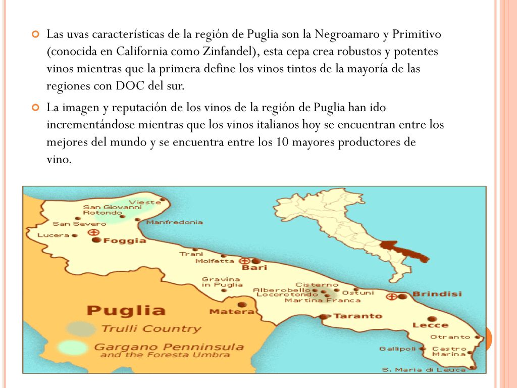 Las uvas características de la región de Puglia son la Negroamaro y Primitivo (conocida en California como Zinfandel), esta cepa crea robustos y potentes vinos mientras que la primera define los vinos tintos de la mayoría de las regiones con DOC del sur.