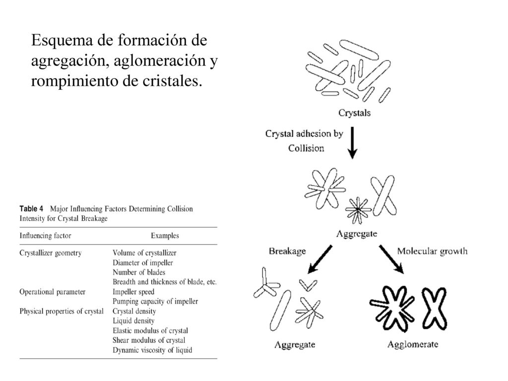 Esquema de formación de agregación, aglomeración y rompimiento de cristales.