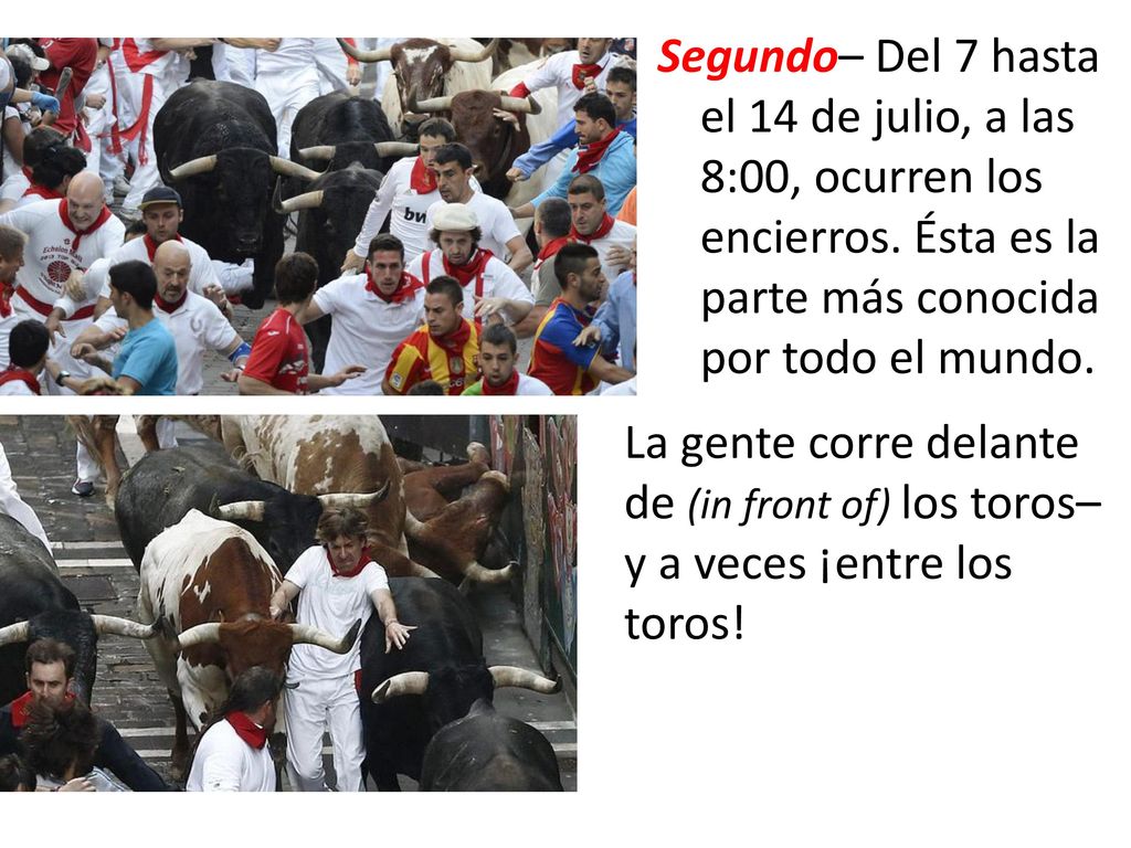 Segundo– Del 7 hasta el 14 de julio, a las 8:00, ocurren los encierros