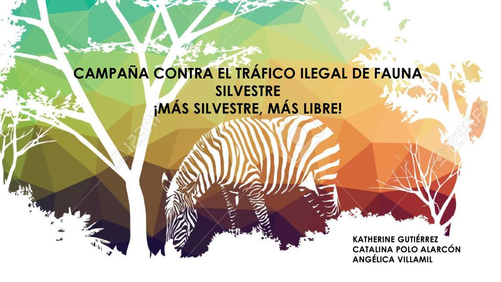CAMPAÑA CONTRA EL TRÁFICO ILEGAL DE FAUNA SILVESTRE ¡MÁS SILVESTRE, MÁS LIBRE!