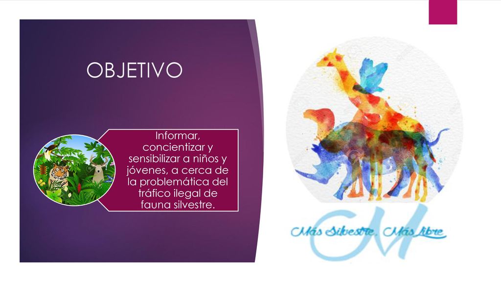 OBJETIVO Informar, concientizar y sensibilizar a niños y jóvenes, a cerca de la problemática del tráfico ilegal de fauna silvestre.