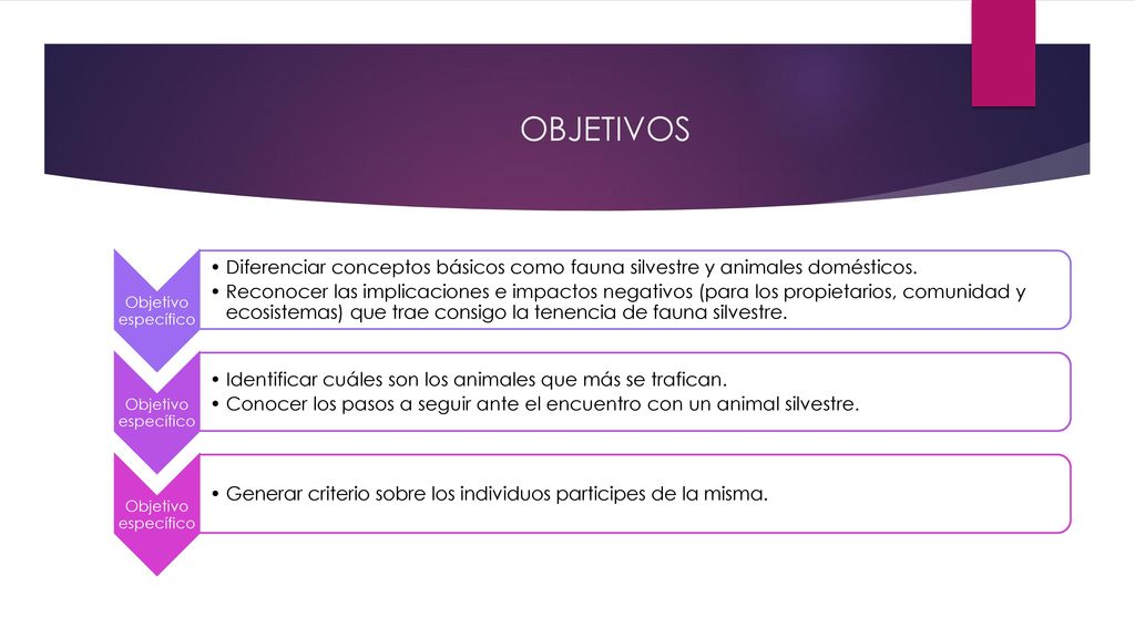 OBJETIVOS Objetivo específico. Diferenciar conceptos básicos como fauna silvestre y animales domésticos.