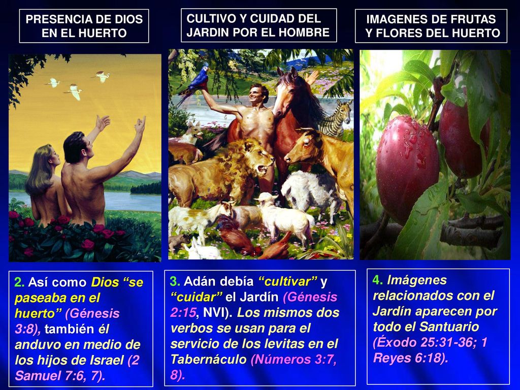 PRESENCIA DE DIOS EN EL HUERTO. CULTIVO Y CUIDAD DEL. JARDIN POR EL HOMBRE. IMAGENES DE FRUTAS. Y FLORES DEL HUERTO.