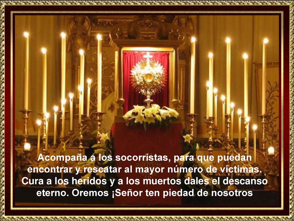 Acompaña a los socorristas, para que puedan encontrar y rescatar al mayor número de víctimas.
