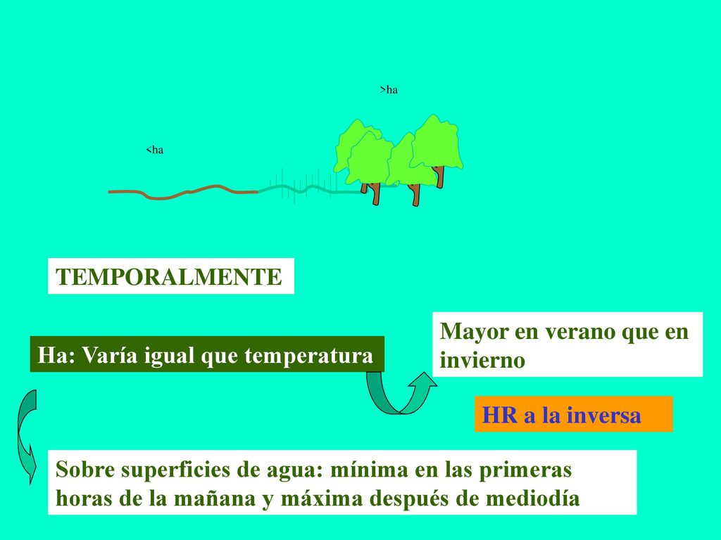 Mayor en verano que en invierno Ha: Varía igual que temperatura