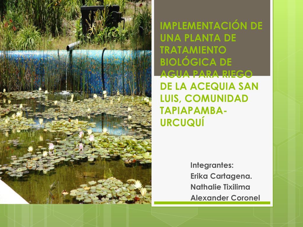 Integrantes: Erika Cartagena. Nathalie Tixilima Alexander Coronel