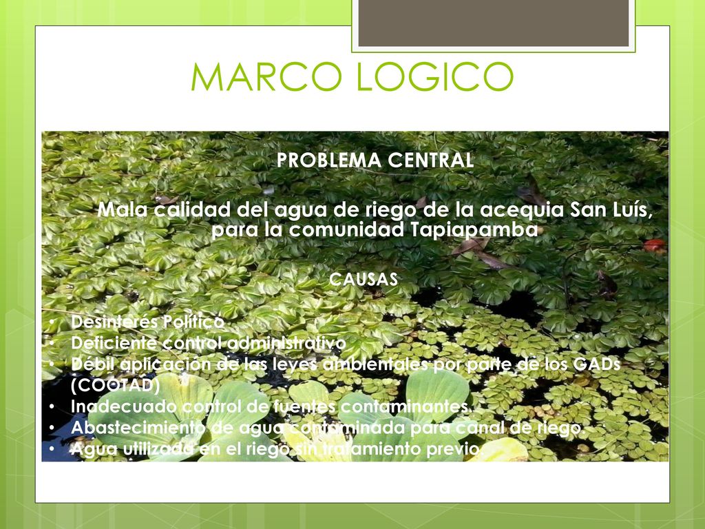 MARCO LOGICO PROBLEMA CENTRAL Mala calidad del agua de riego de la acequia San Luís, para la comunidad Tapiapamba