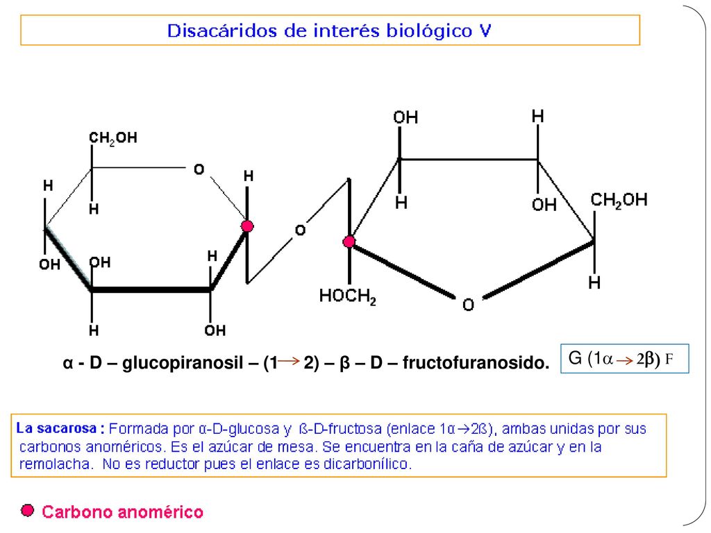 G (1a 2b) F α - D – glucopiranosil – (1 2) – β – D – fructofuranosido.