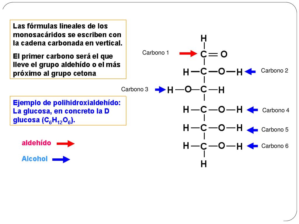 Carbono 1 Carbono 3 Carbono 2 Carbono 4 Carbono 5 Carbono 6