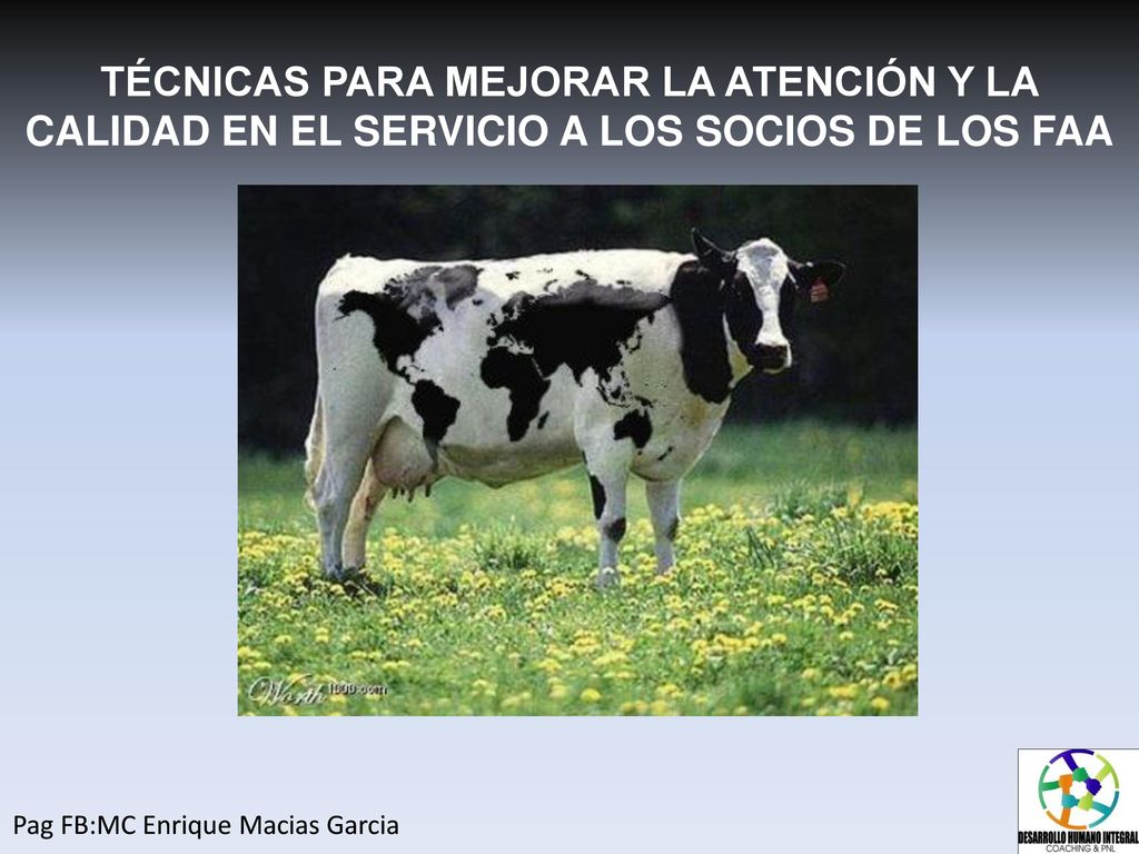 TÉCNICAS PARA MEJORAR LA ATENCIÓN Y LA CALIDAD EN EL SERVICIO A LOS SOCIOS DE LOS FAA