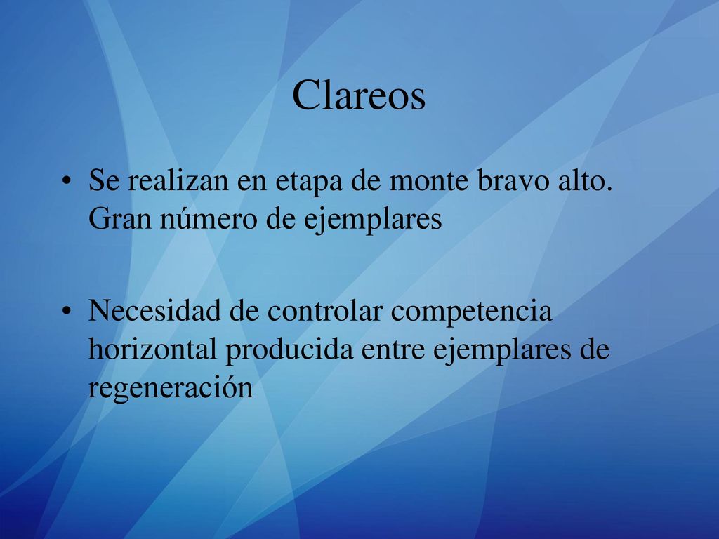 Clareos Se realizan en etapa de monte bravo alto. Gran número de ejemplares.