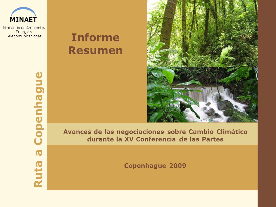 Informe Resumen Avances de las negociaciones sobre Cambio Climático durante la XV Conferencia de las Partes.