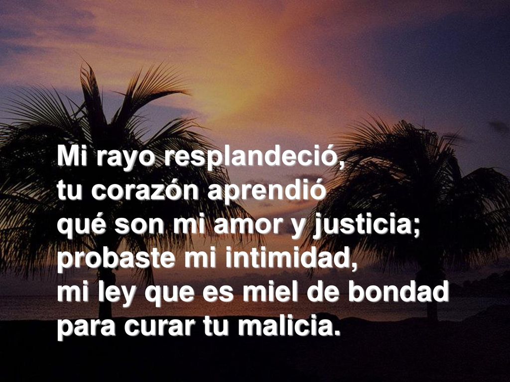 Mi rayo resplandeció, tu corazón aprendió qué son mi amor y justicia; probaste mi intimidad, mi ley que es miel de bondad para curar tu malicia.