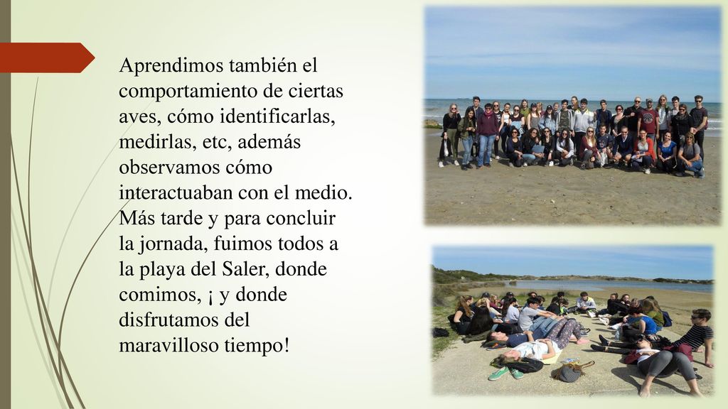 Aprendimos también el comportamiento de ciertas aves, cómo identificarlas, medirlas, etc, además observamos cómo interactuaban con el medio.