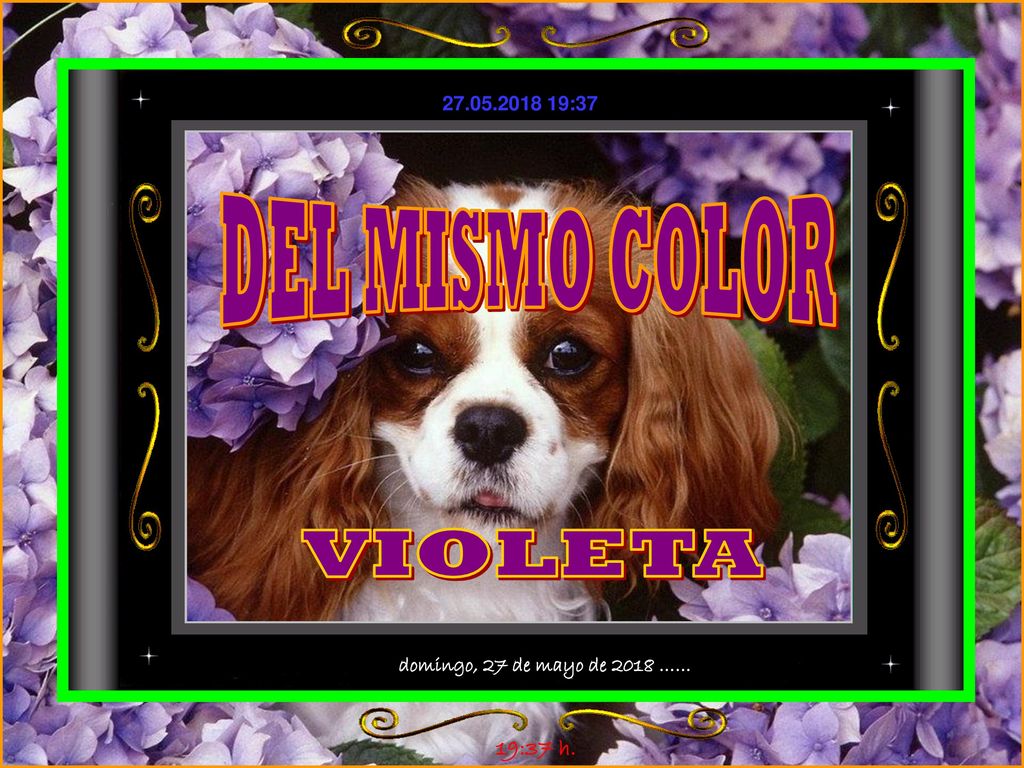 DEL MISMO COLOR VIOLETA domingo, 27 de mayo de 2018 …… 19:37 h.