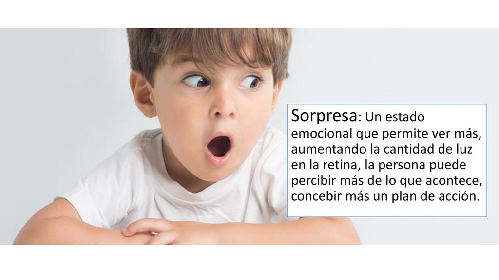 Sorpresa: Un estado emocional que permite ver más, aumentando la cantidad de luz en la retina, la persona puede percibir más de lo que acontece, concebir más un plan de acción.