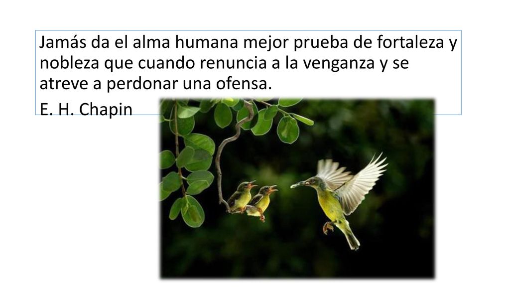 Jamás da el alma humana mejor prueba de fortaleza y nobleza que cuando renuncia a la venganza y se atreve a perdonar una ofensa.
