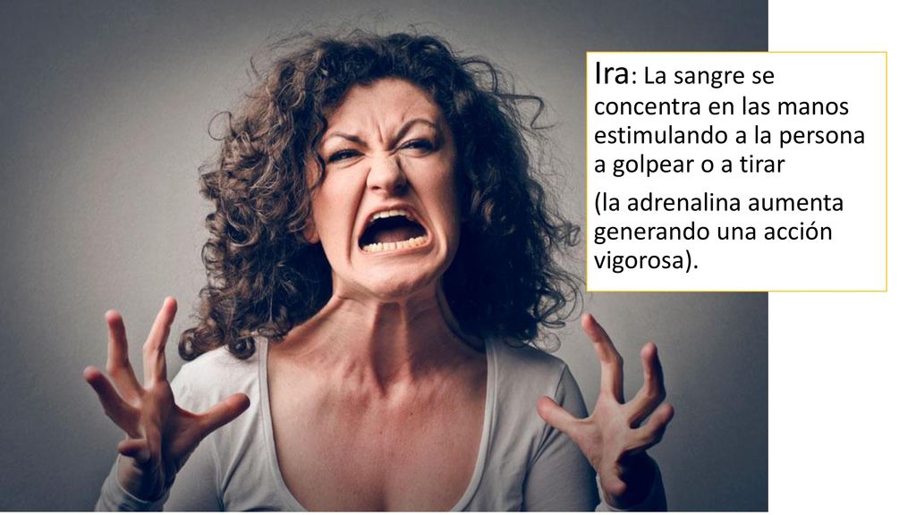 Ira: La sangre se concentra en las manos estimulando a la persona a golpear o a tirar