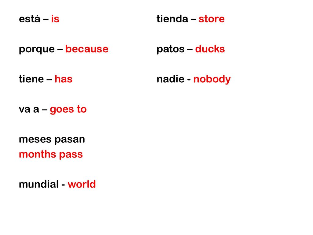está – is porque – because tiene – has va a – goes to meses pasan months pass mundial - world tienda – store patos – ducks nadie - nobody