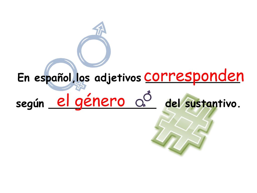 corresponden el género En español,los adjetivos ______________