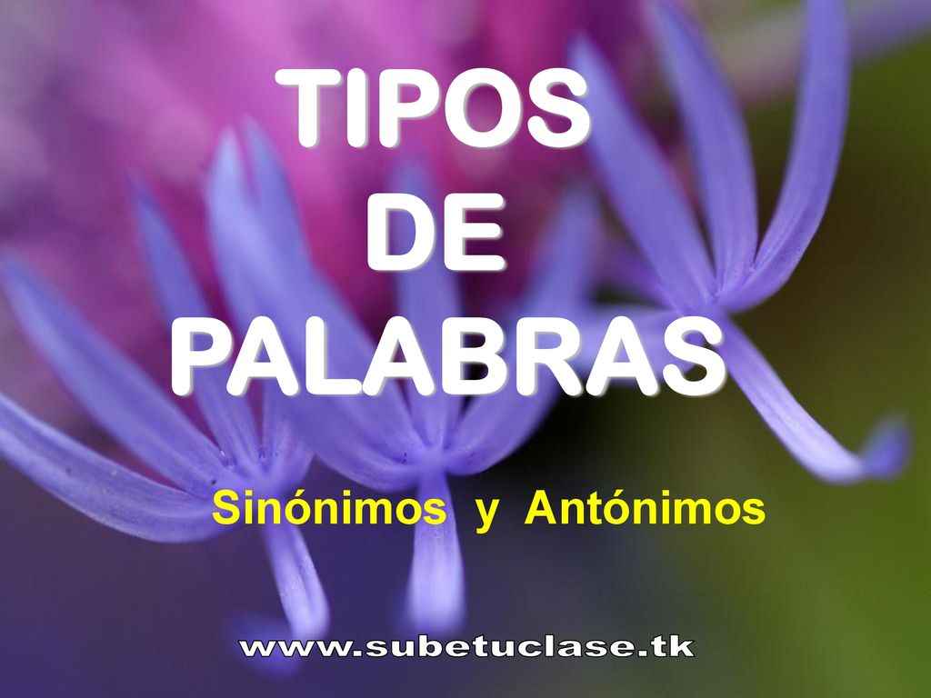 TIPOS DE PALABRAS Sinónimos y Antónimos