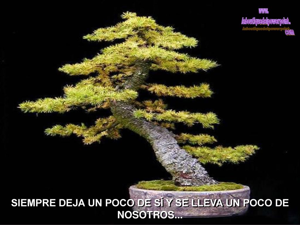 SIEMPRE DEJA UN POCO DE SÍ Y SE LLEVA UN POCO DE NOSOTROS...