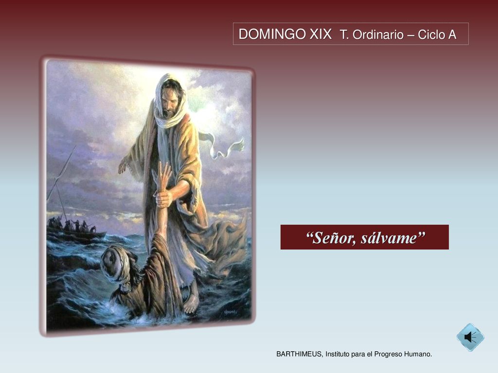 Señor, sálvame DOMINGO XIX T. Ordinario – Ciclo A