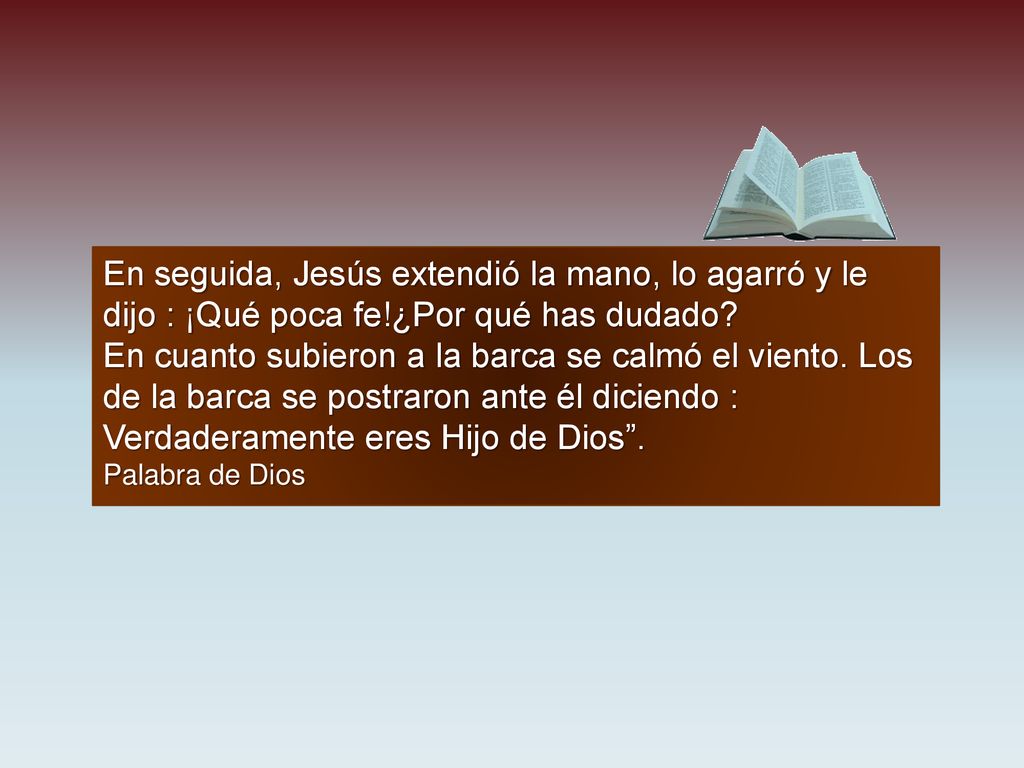 En seguida, Jesús extendió la mano, lo agarró y le dijo : ¡Qué poca fe