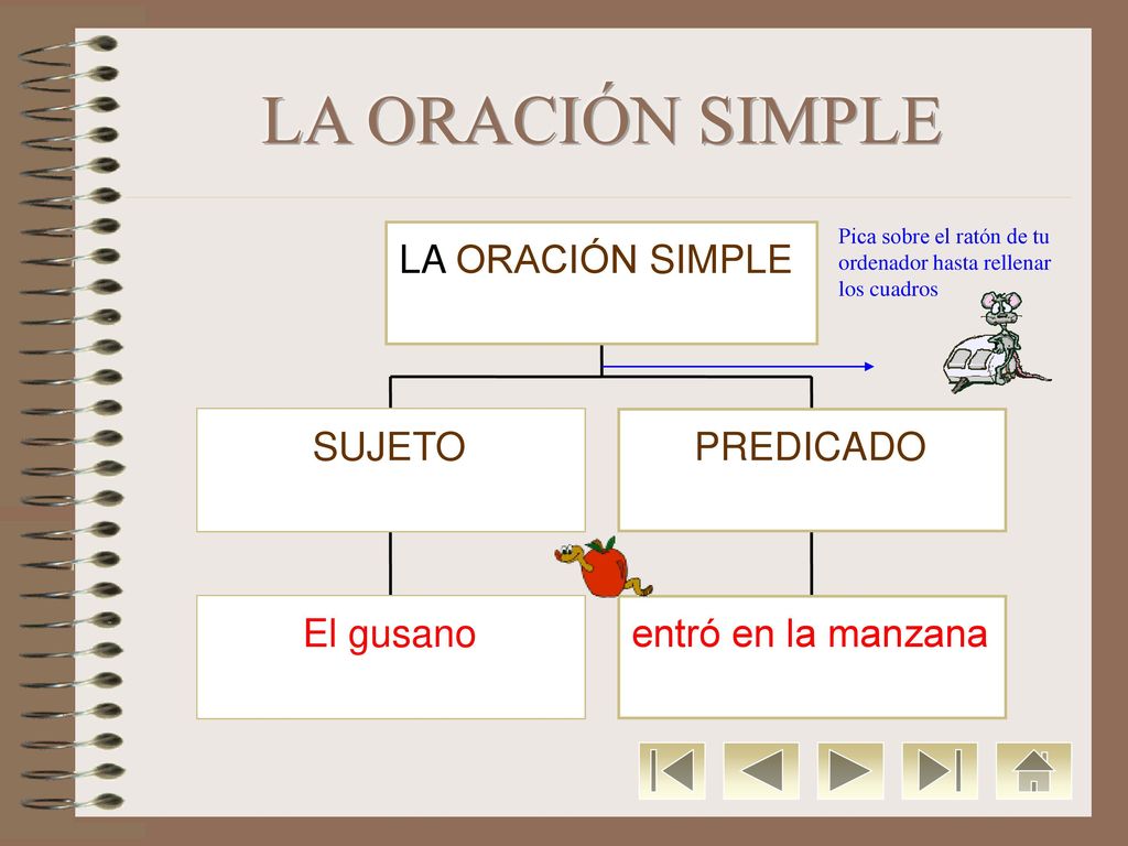 LA ORACIÓN SIMPLE LA ORACIÓN SIMPLE SUJETO PREDICADO El gusano