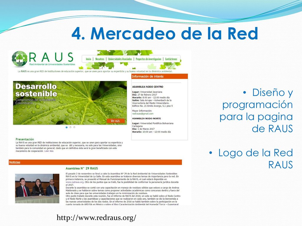 4. Mercadeo de la Red Diseño y programación para la pagina de RAUS