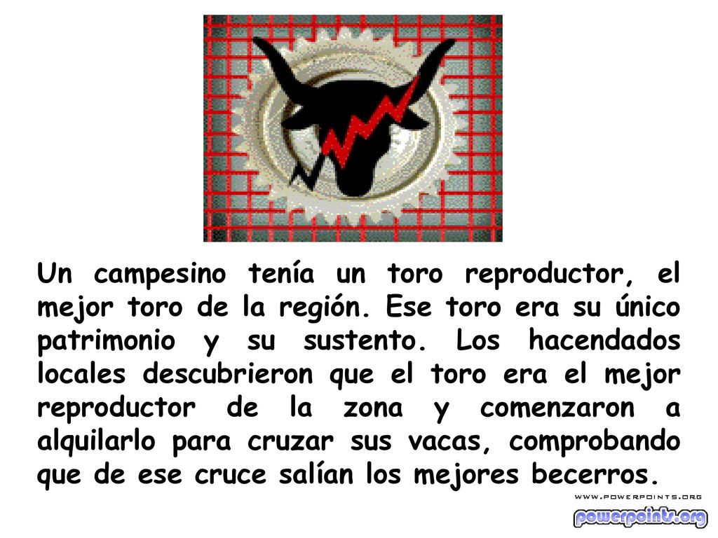 Un campesino tenía un toro reproductor, el mejor toro de la región