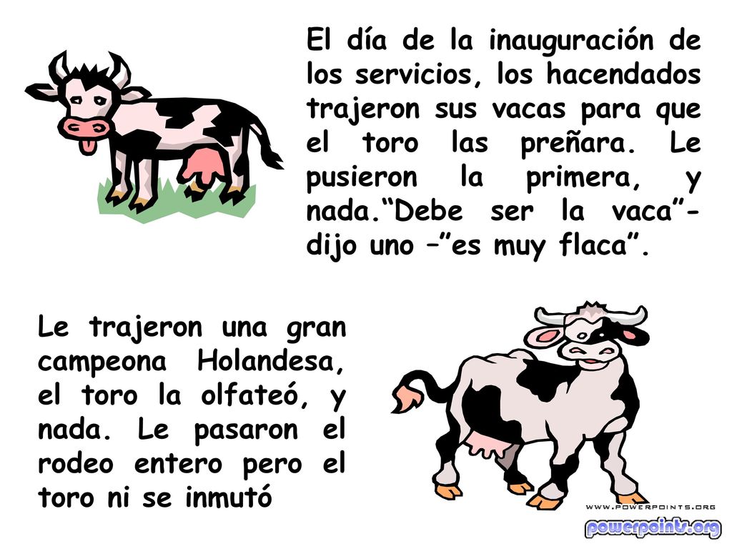 El día de la inauguración de los servicios, los hacendados trajeron sus vacas para que el toro las preñara. Le pusieron la primera, y nada. Debe ser la vaca - dijo uno – es muy flaca .