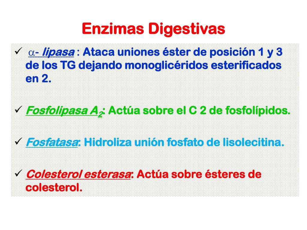 Enzimas Digestivas a- lipasa : Ataca uniones éster de posición 1 y 3 de los TG dejando monoglicéridos esterificados en 2.