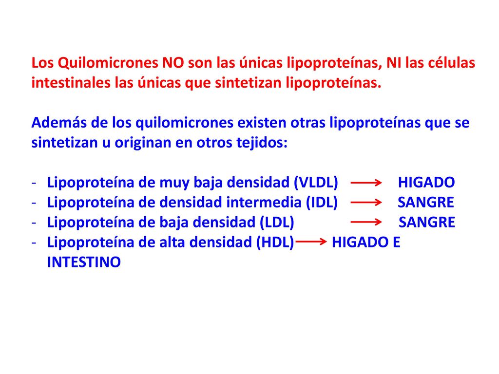 Los Quilomicrones NO son las únicas lipoproteínas, NI las células intestinales las únicas que sintetizan lipoproteínas.