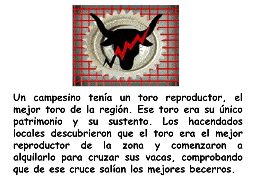 Un campesino tenía un toro reproductor, el mejor toro de la región