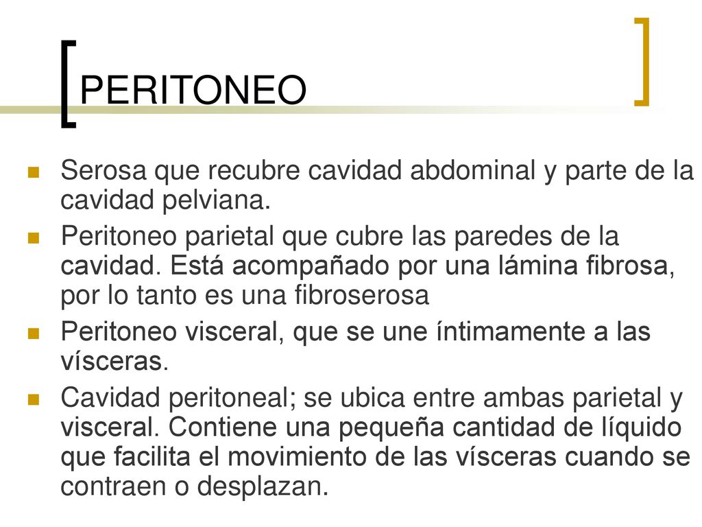 PERITONEO Serosa que recubre cavidad abdominal y parte de la cavidad pelviana.