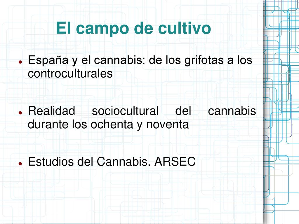 El campo de cultivo España y el cannabis: de los grifotas a los controculturales.