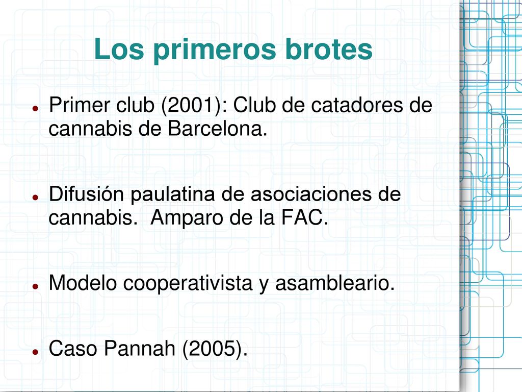 Los primeros brotes Primer club (2001): Club de catadores de cannabis de Barcelona.