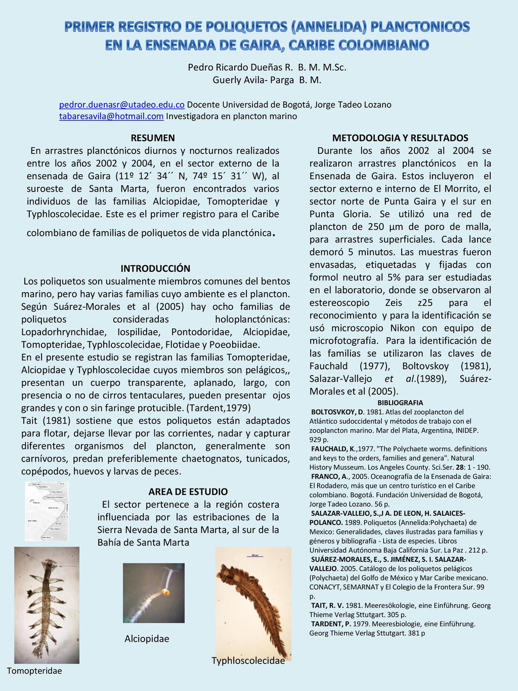 PRIMER REGISTRO DE POLIQUETOS (ANNELIDA) PLANCTONICOS EN LA ENSENADA DE GAIRA, CARIBE COLOMBIANO