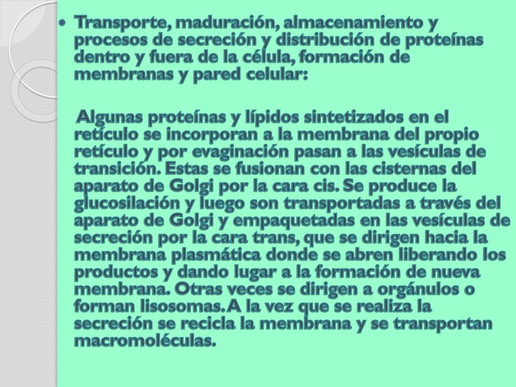 Transporte, maduración, almacenamiento y procesos de secreción y distribución de proteínas dentro y fuera de la célula, formación de membranas y pared celular: