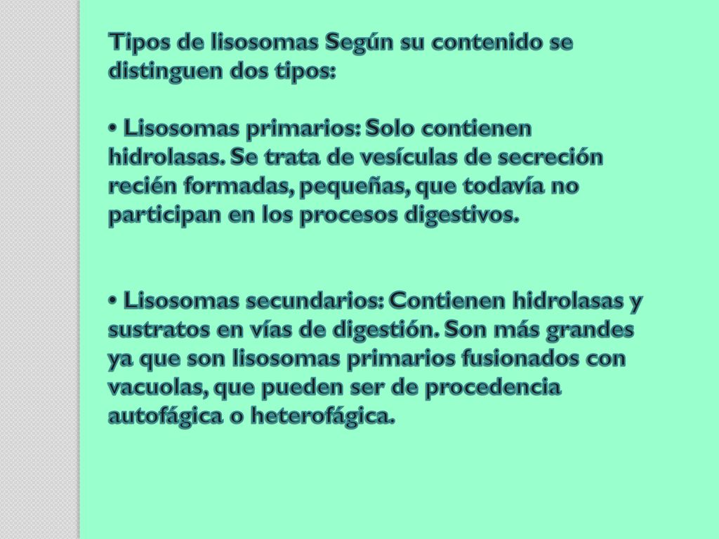 Tipos de lisosomas Según su contenido se distinguen dos tipos: