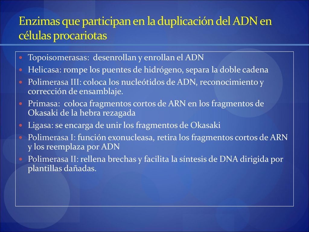Enzimas que participan en la duplicación del ADN en células procariotas