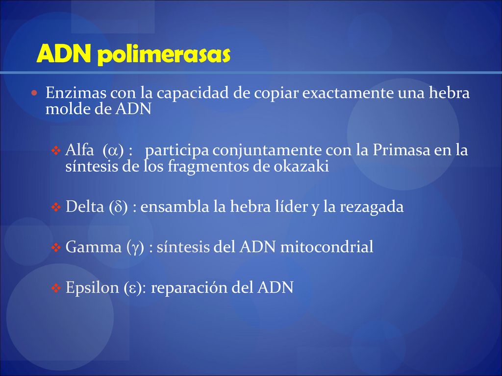 ADN polimerasas Enzimas con la capacidad de copiar exactamente una hebra molde de ADN.