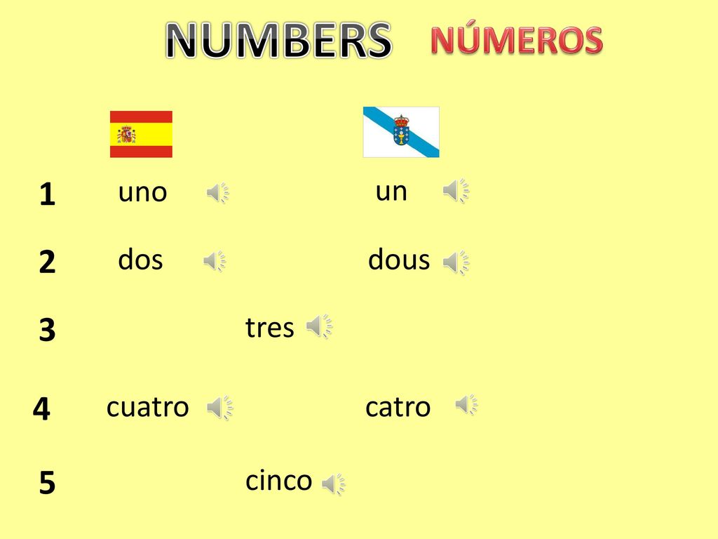NUMBERS NÚMEROS 1 uno un 2 dos dous 3 tres 4 cuatro catro 5 cinco