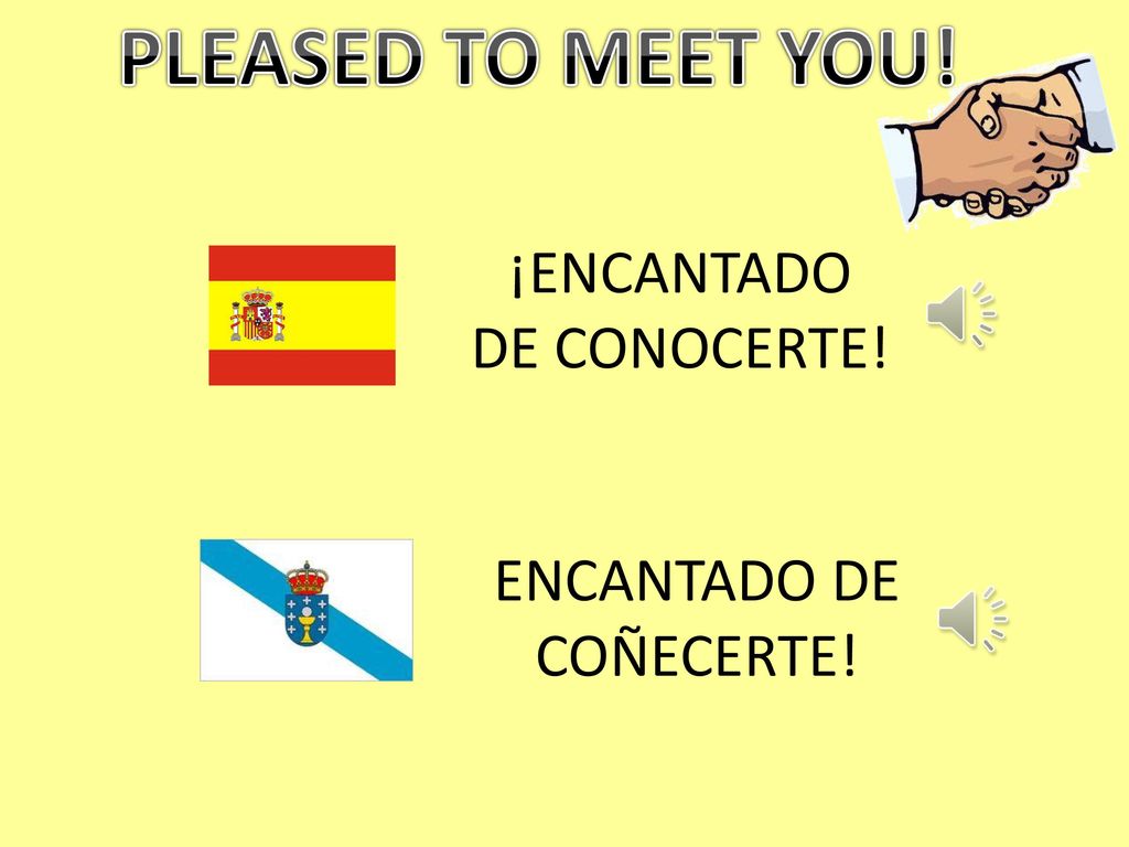 PLEASED TO MEET YOU! ¡ENCANTADO DE CONOCERTE! ENCANTADO DE COÑECERTE!