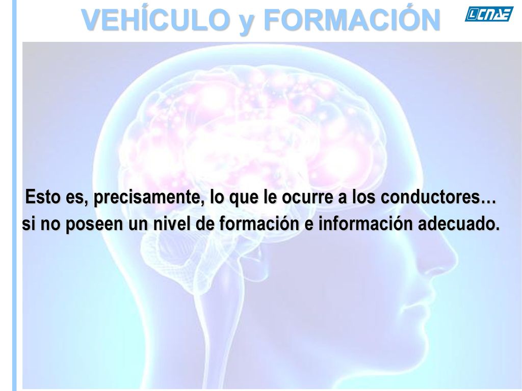 VEHÍCULO y FORMACIÓN Esto es, precisamente, lo que le ocurre a los conductores… si no poseen un nivel de formación e información adecuado.