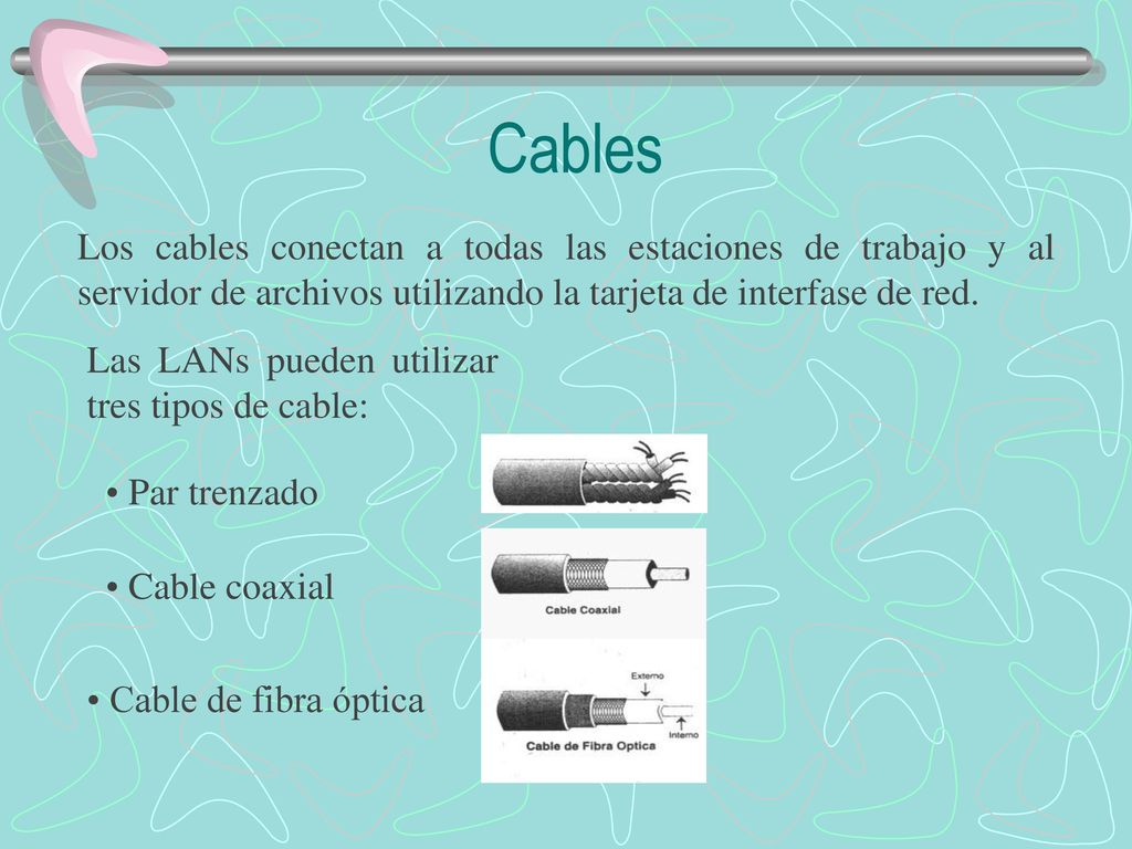 Cables Los cables conectan a todas las estaciones de trabajo y al servidor de archivos utilizando la tarjeta de interfase de red.