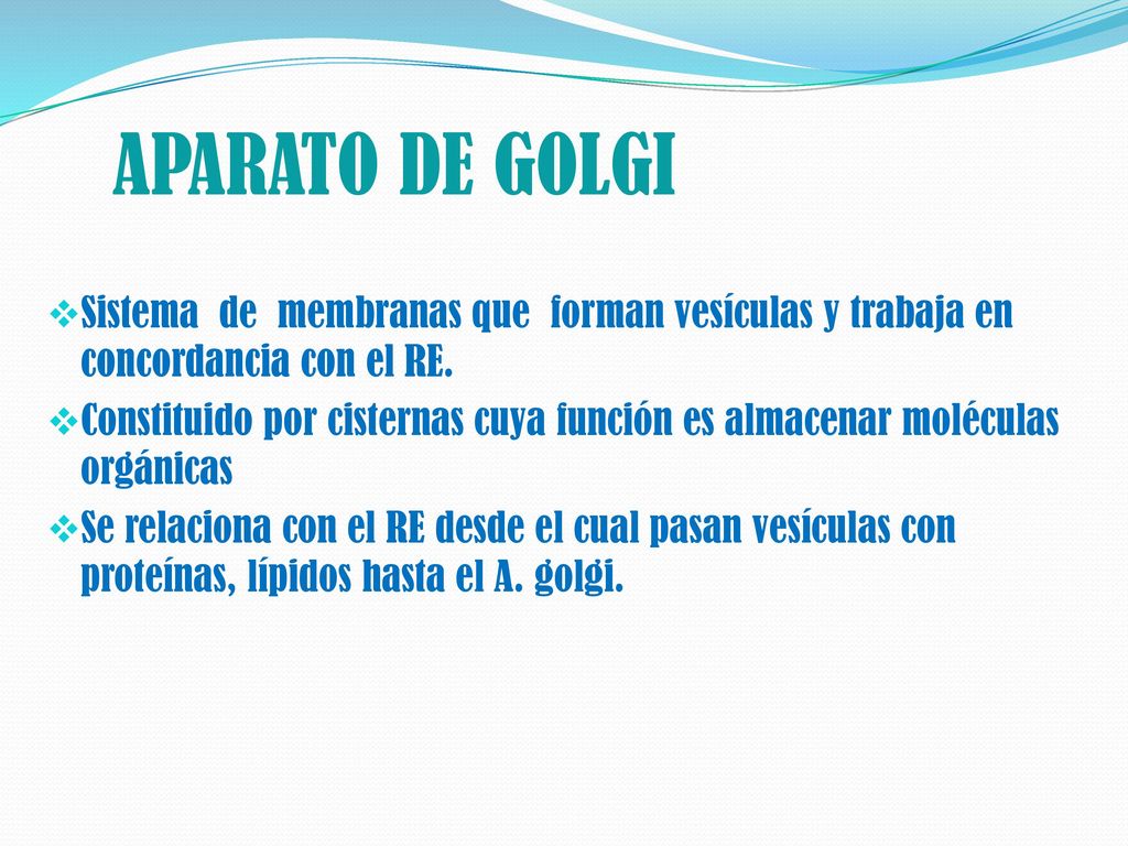 APARATO DE GOLGI Sistema de membranas que forman vesículas y trabaja en concordancia con el RE.